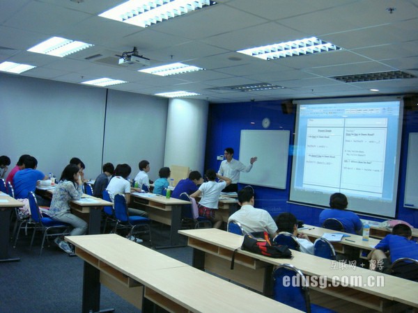 新加坡alevel試題