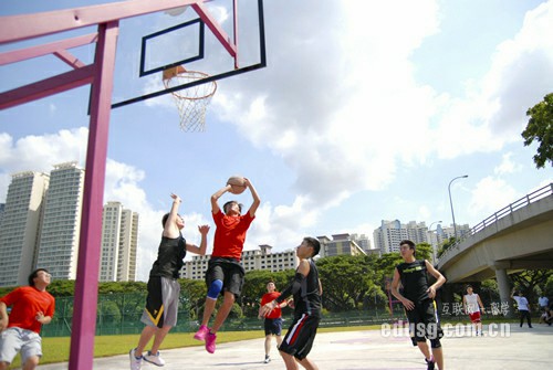 新加坡小學申請