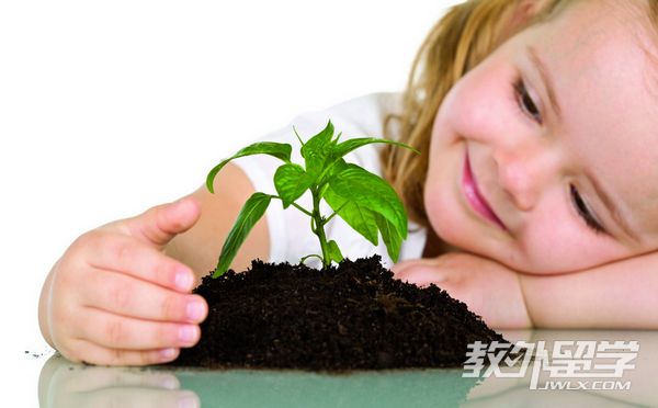 新加坡上小學
