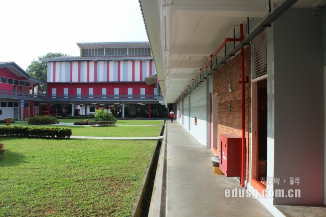 新加坡上小學