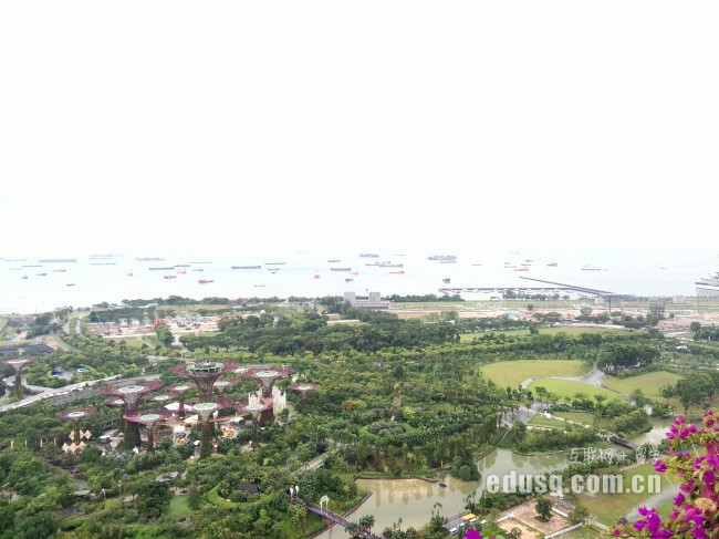 新加坡讀小學(xué)條件