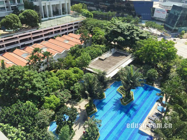新加坡大學工商管理