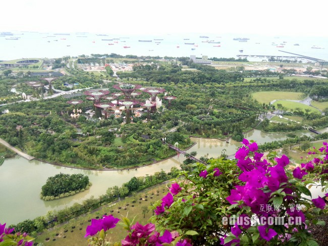 新加坡大學(xué)心理學(xué)