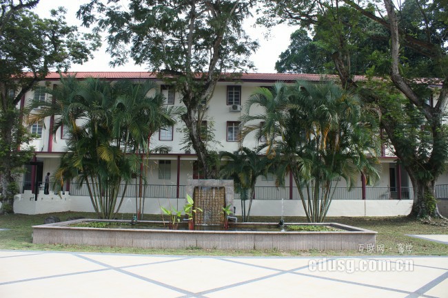 中學去新加坡留學