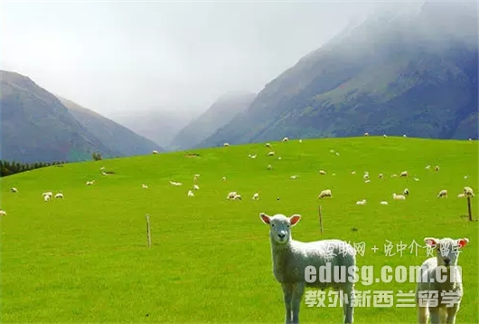 ȥmxоWʲôI