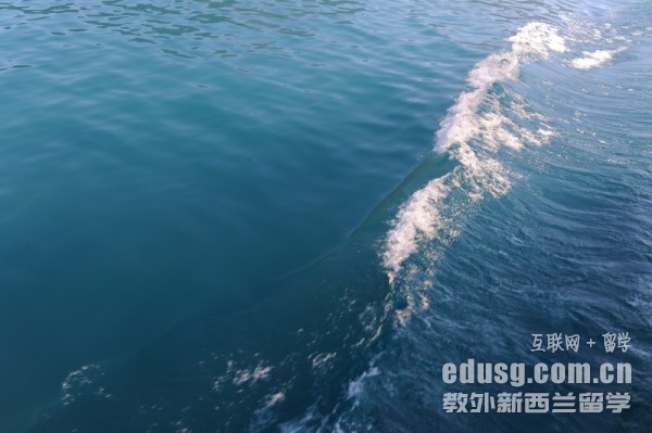mW(xu)뾳Ҫʲô