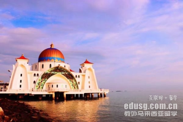 �R���������ƴ�W������