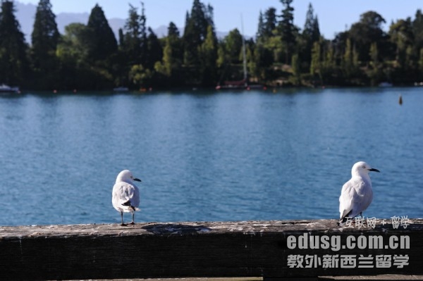 mW(xu)ҪM(fi)