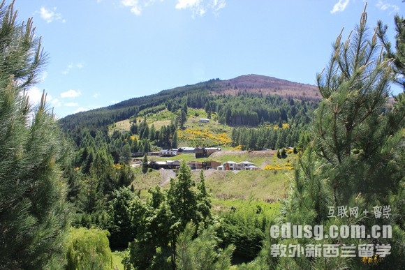 2020Ո(qng)mW(xu)ėl