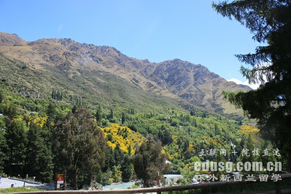 mоZn