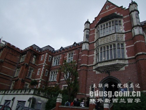 `DSW(xu)2020