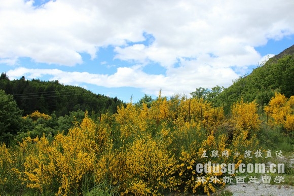 mʥŮӌW(xu)У