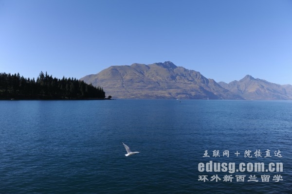 mW(xu)TʿՈl