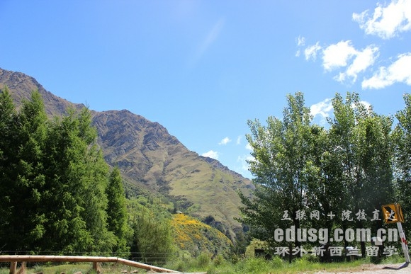 mƴW(xu)