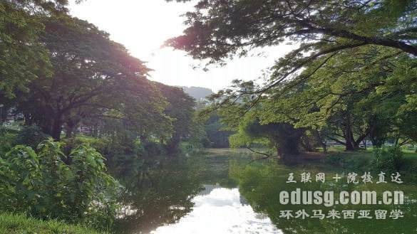 RƴW赸ʿ