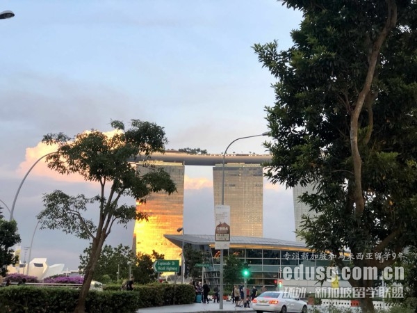 新加坡商科專業