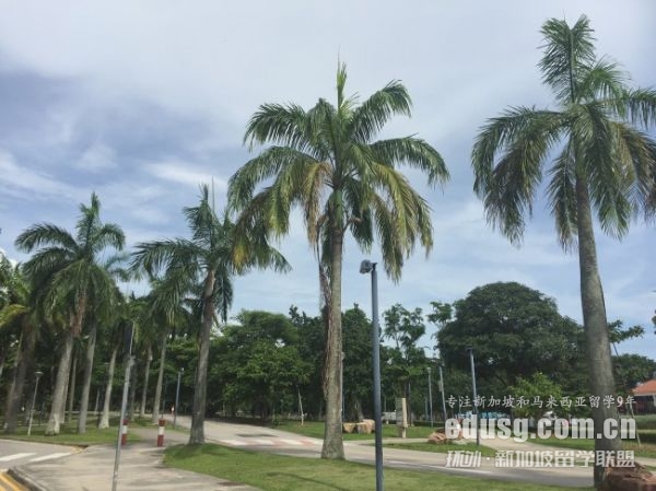 新加坡留學(xué)簽證申請流程