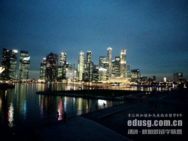 新加坡國立大學本科專業