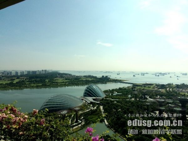 新加坡國立大學簡介