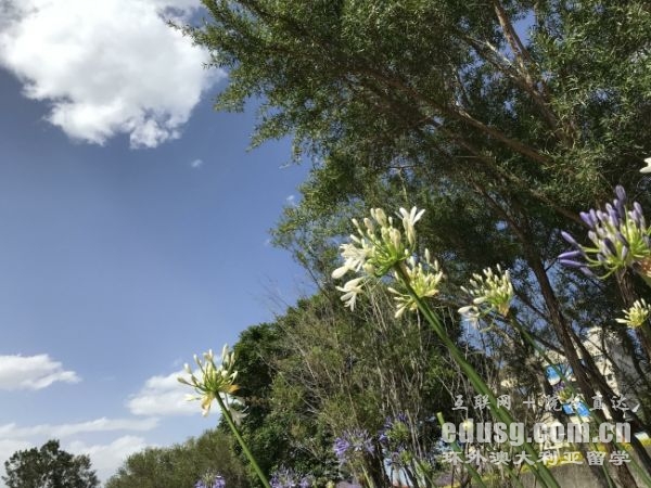 Ī˴Wx