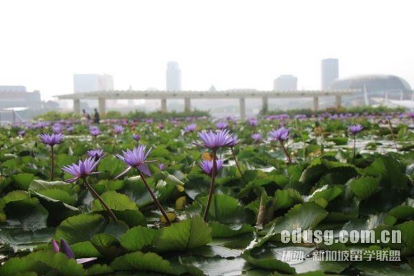 南洋理工大學(xué)讀研幾年制