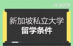 ¼˽WWl