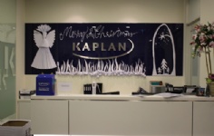¼kaplanW(xu)Ժ